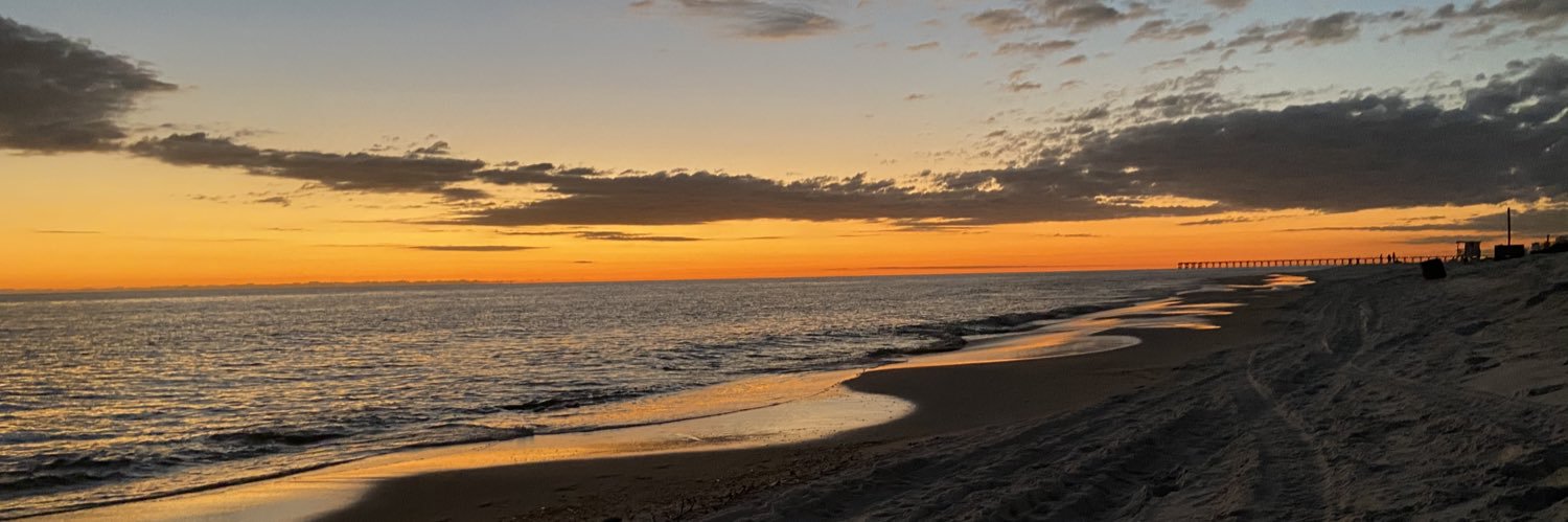 SydneyPesnell's profile banner image