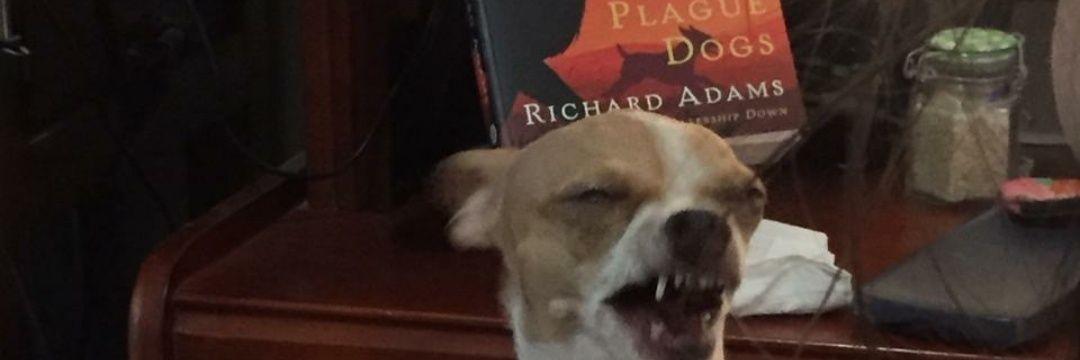 Moniqiiia's profile banner image