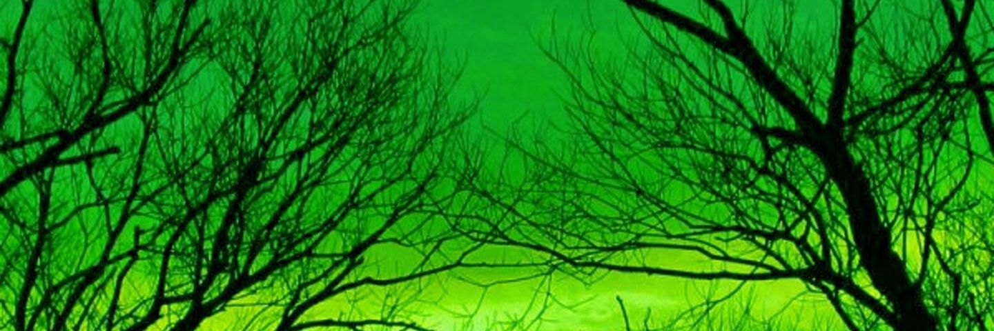Codeword_Cannon's profile banner image