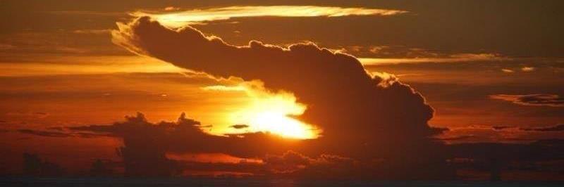 Ted Tagalakis banner