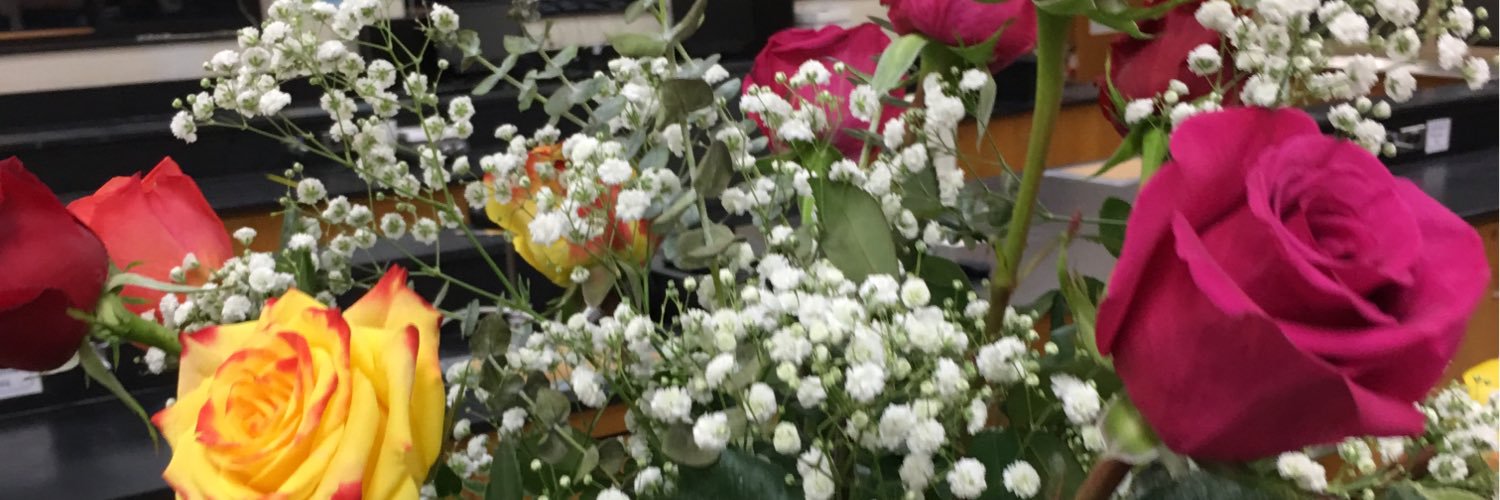 janicedoherty64's profile banner image