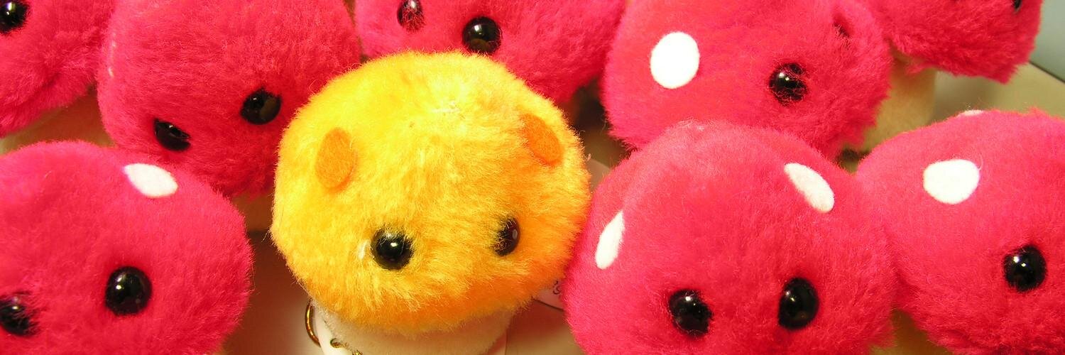 Buta_san(敬称込み) banner