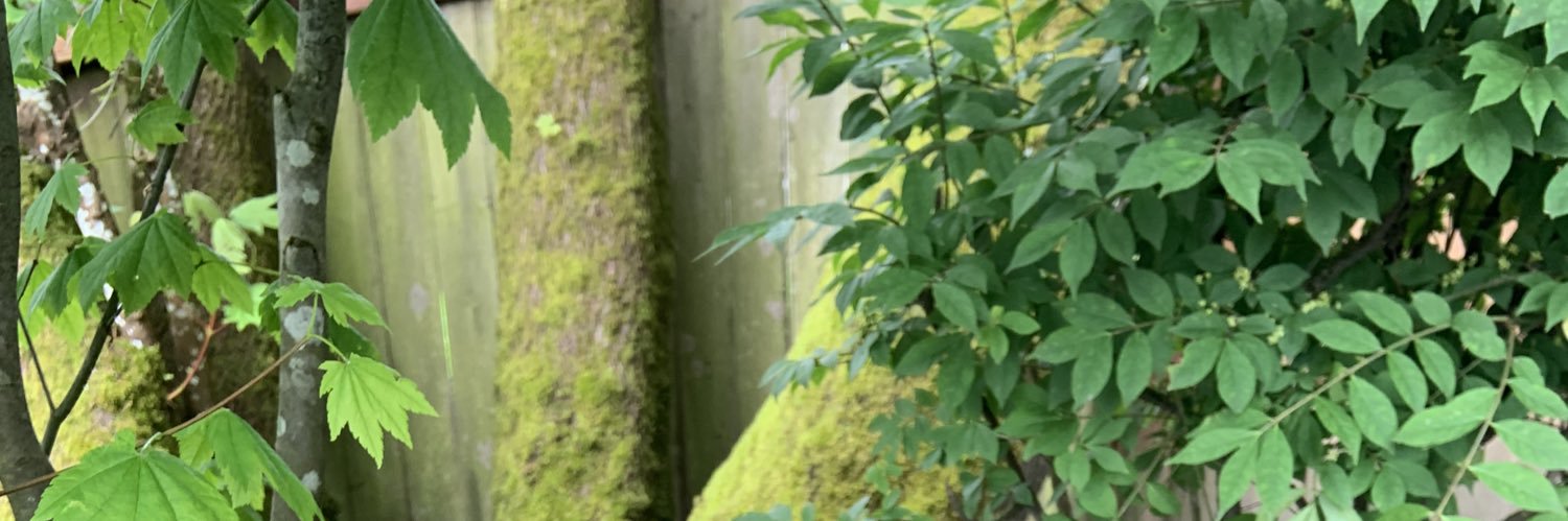 amberrtighe's profile banner image