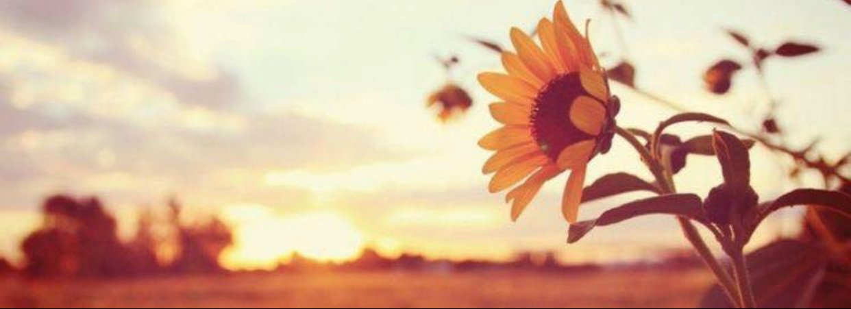 _serranoangele's profile banner image