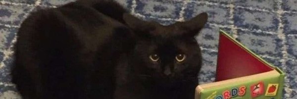 Keryeel Profile Banner