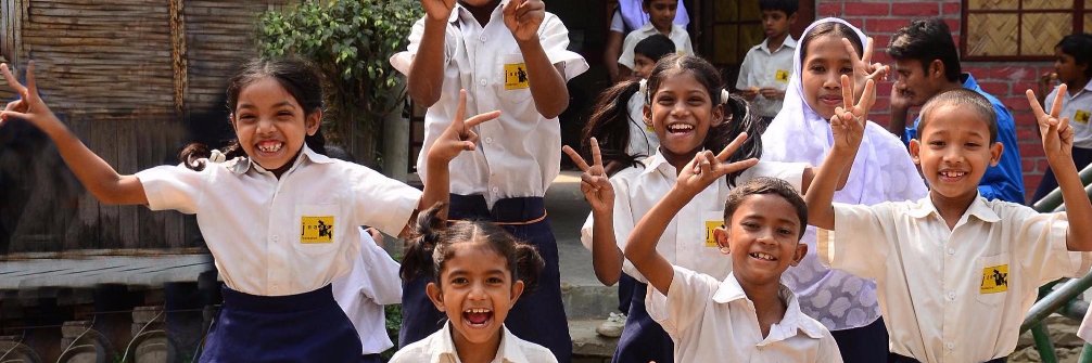 Skees Foundation banner