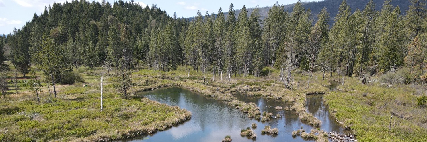 Project Beaver banner