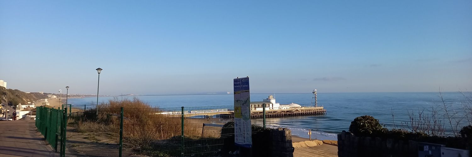 fan of Minnie 🐀 & Mickey 🐀 banner