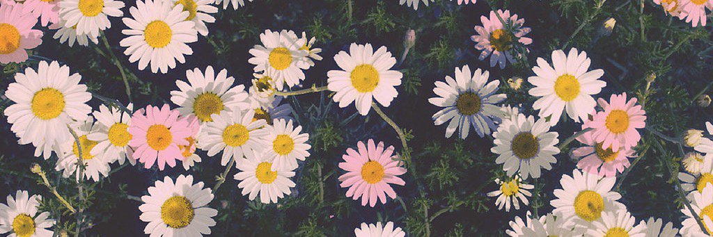 MICHELLE_HRSN's profile banner image