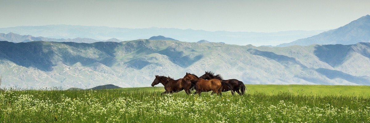 Подпись Неразборчива banner