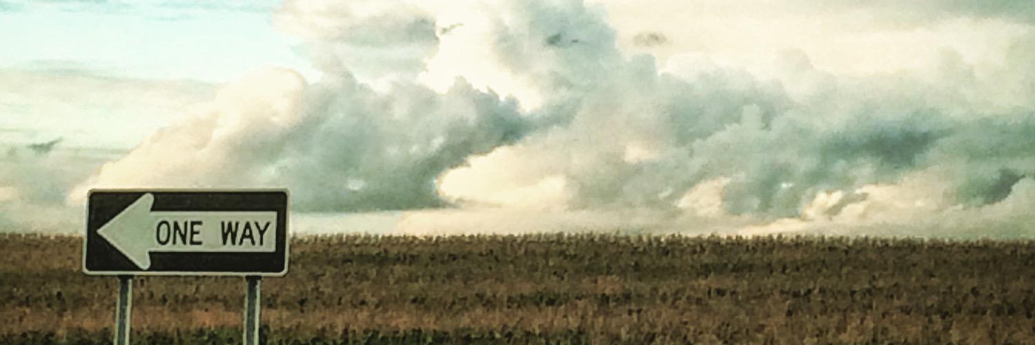 barbalew06's profile banner image