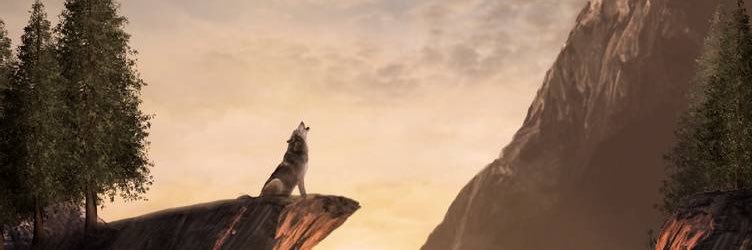 VillalobosBrian's profile banner image
