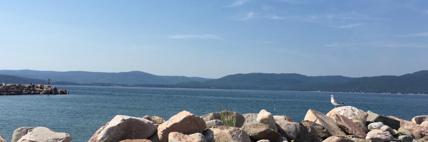 Karrie Cheung banner