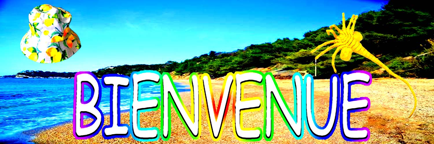 🍋 BordeLemon 🍋 | era era banner