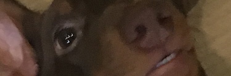 JaneeeySays's profile banner image