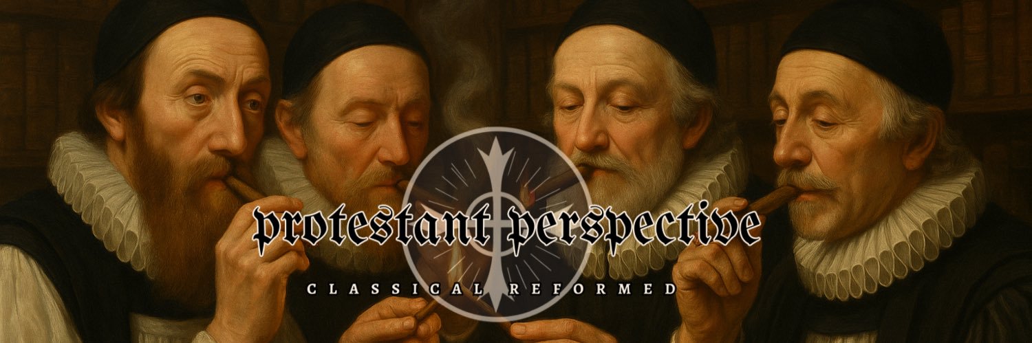 𝔭𝔯𝔬𝔱𝔢𝔰𝔱𝔞𝔫𝔱 𝔭𝔢𝔯𝔰𝔭𝔢𝔠𝔱𝔦𝔳𝔢 🕊️'s banner