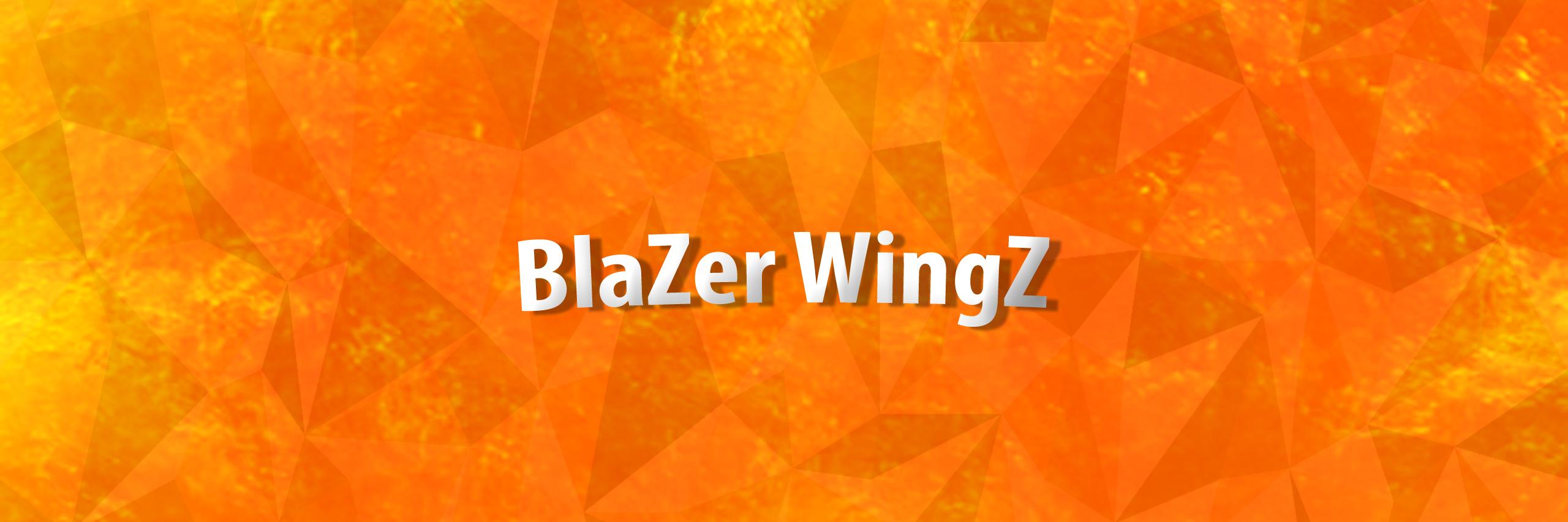 BlaZerWingZ's profile banner image