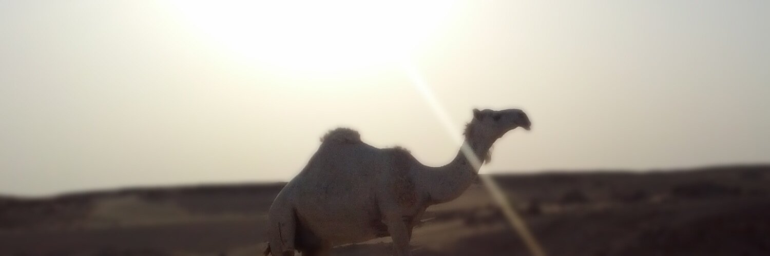 arabi's profile banner image
