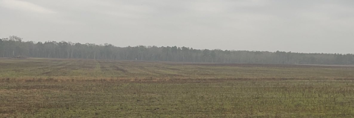 DonkeyKf's profile banner image
