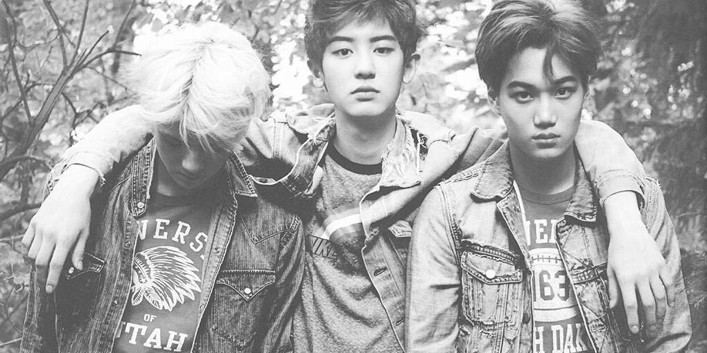 sekaiyeoll's profile banner image