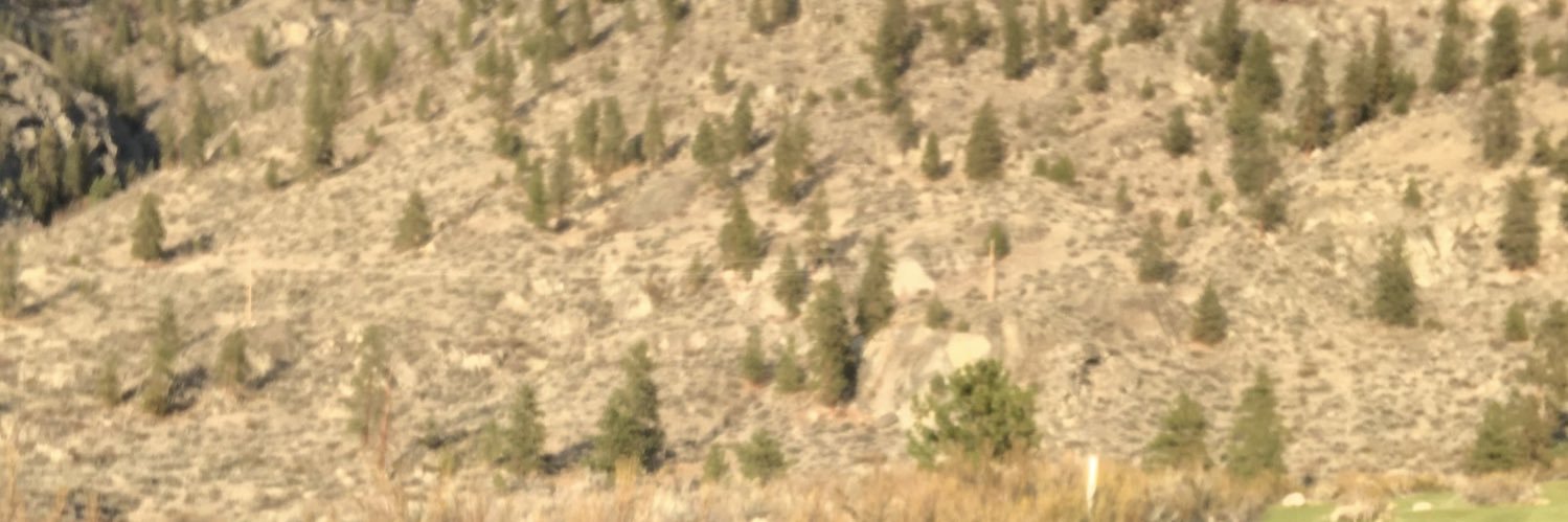 dhalla_n's profile banner image