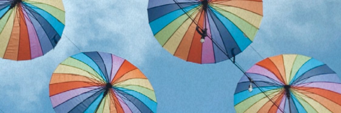 erica_mohan's profile banner image