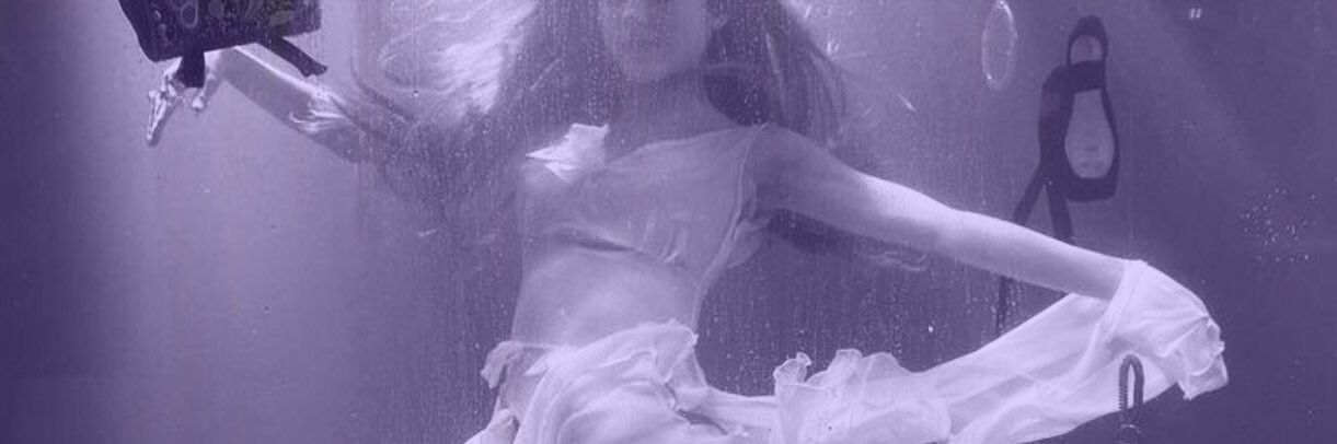 vi banner