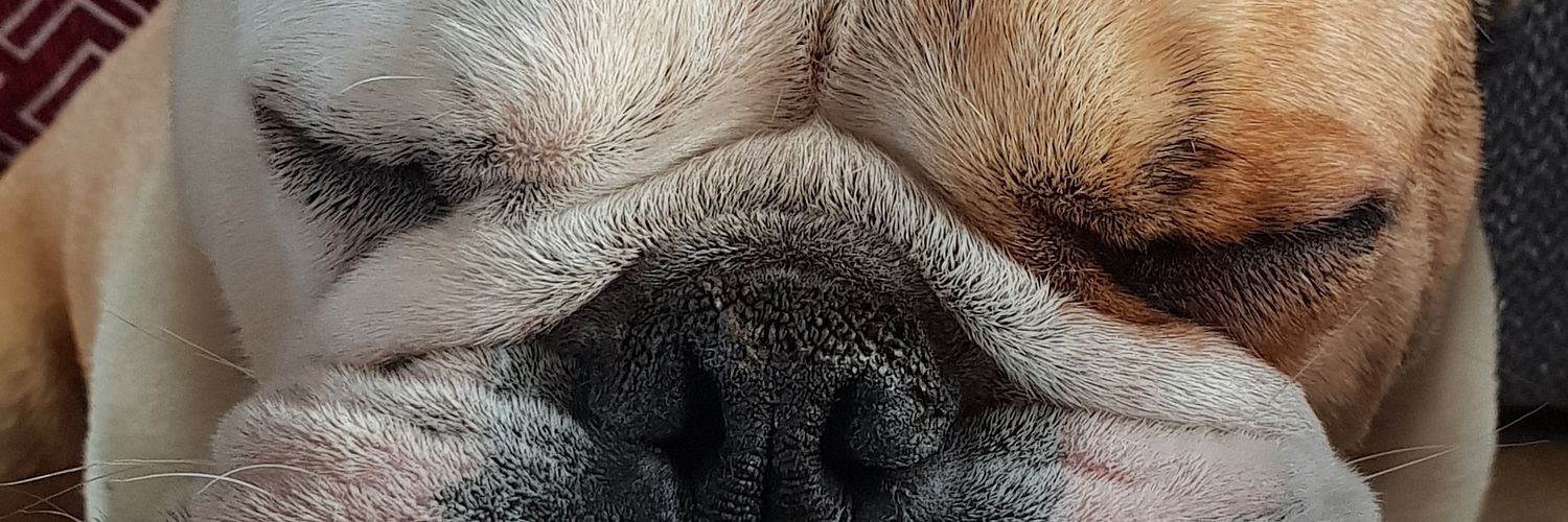 Will Smith banner