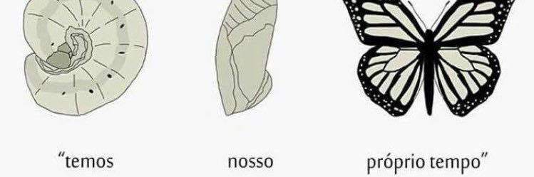 raeuuu banner