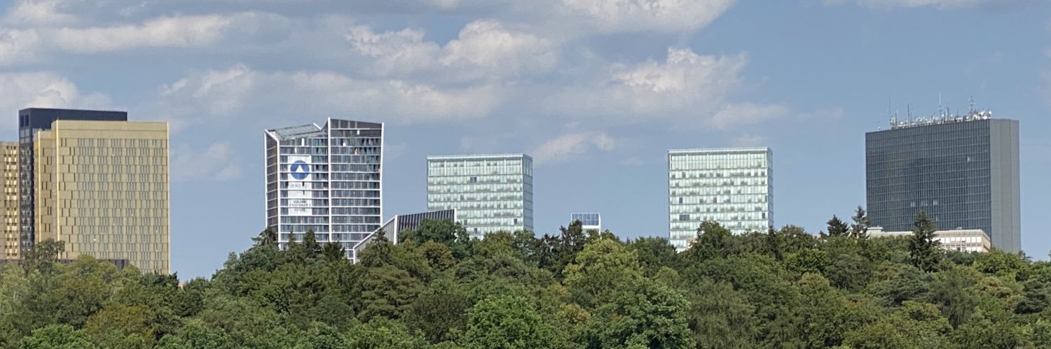 🇫🇷🇱🇺 Communauté des Français du Luxembourg banner