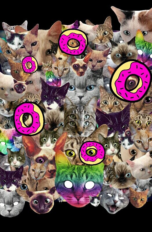 Kitty_Bomb's profile banner image
