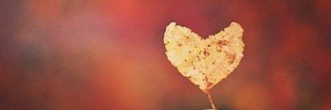 asanishu's profile banner image
