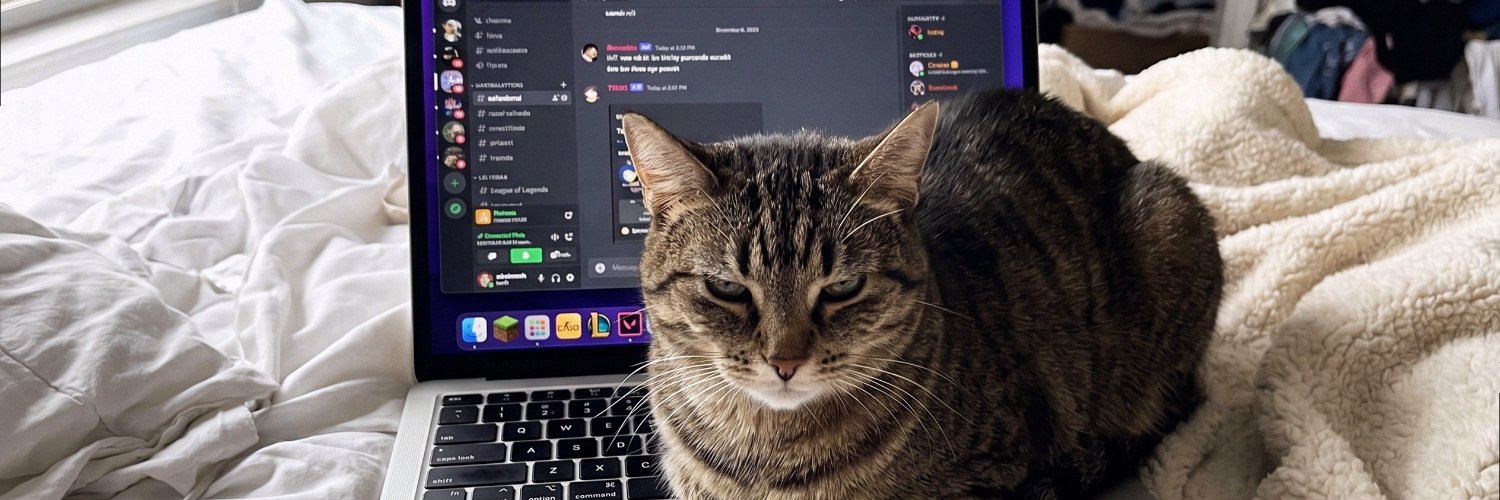 sofiashore865's profile banner image