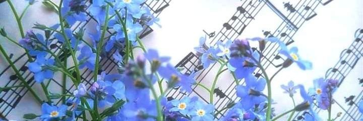 Michaela💙★*｡♪ banner