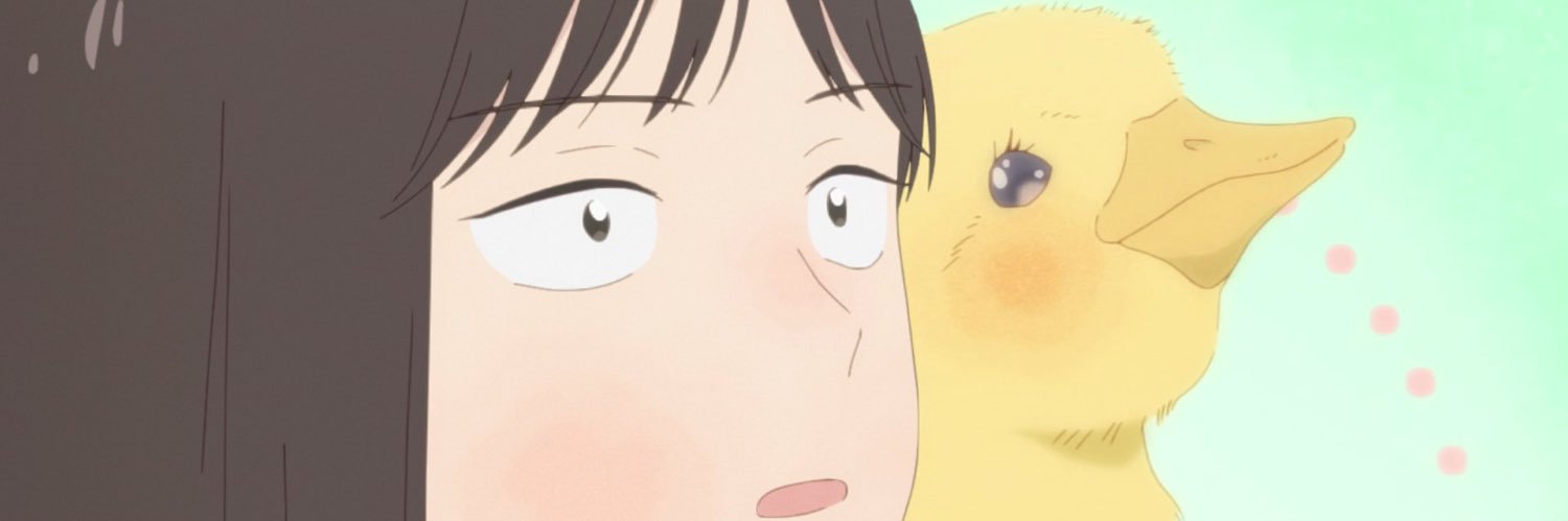 Kouseichii's profile banner image