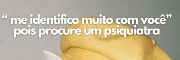 mayra banner
