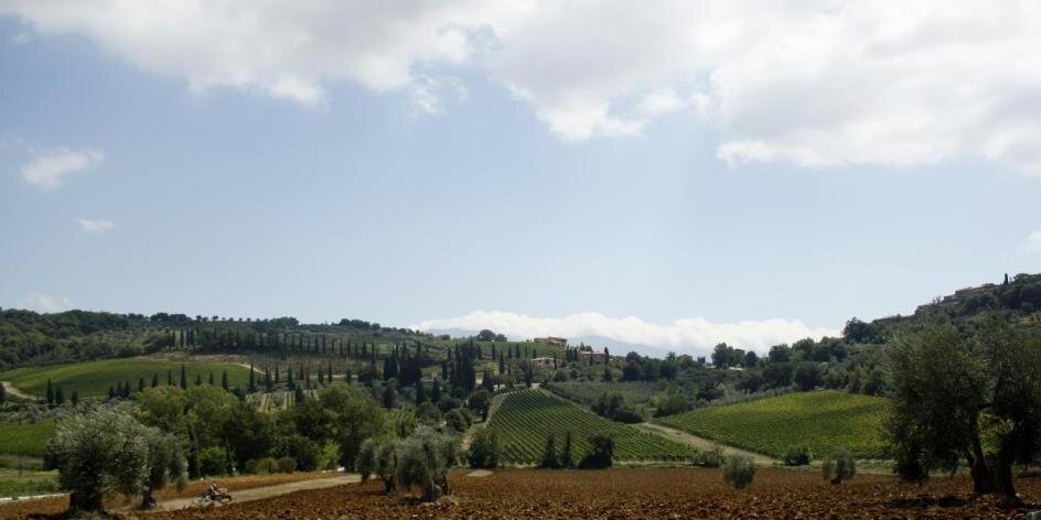 Francesca Bonfanti banner