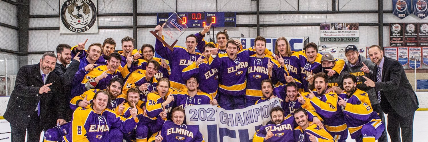 ElmiraMHKY's profile banner image