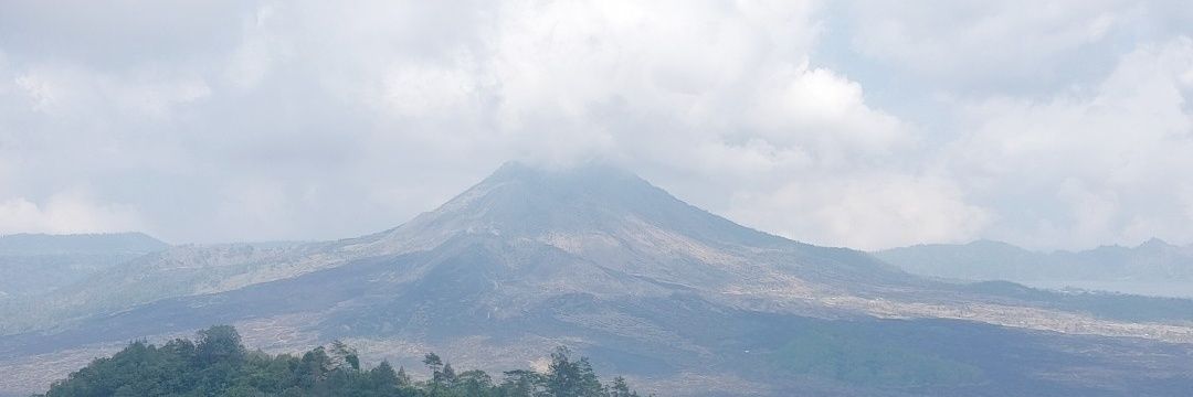 surti banner