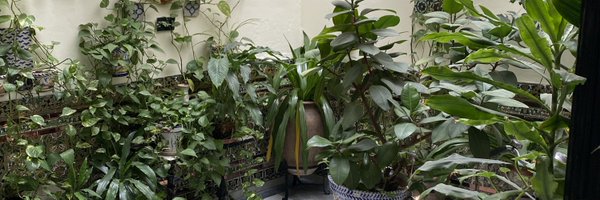 conniewrigley Profile Banner