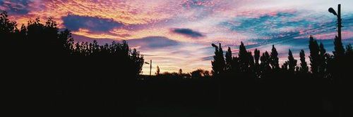 BrianLechini_'s profile banner image