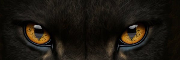 jordant_0 Profile Banner