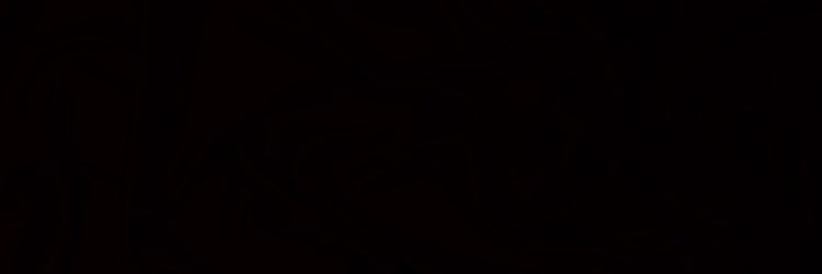 Isabel Farris banner