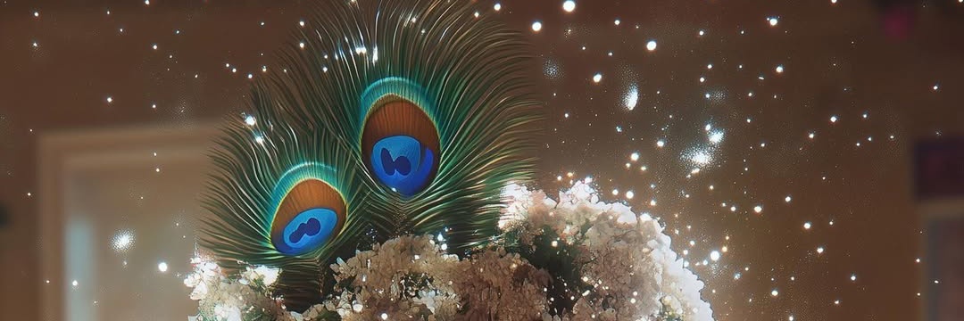 Surendra 🤑 banner