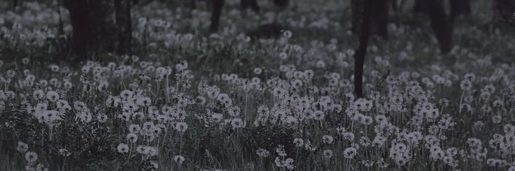 たまご's banner