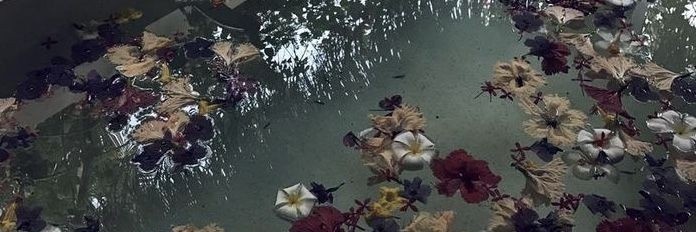 riverfleur's profile banner image