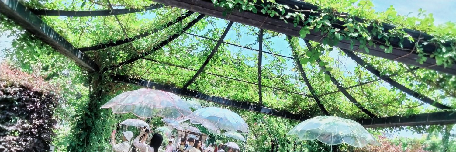 ADHDピングー banner