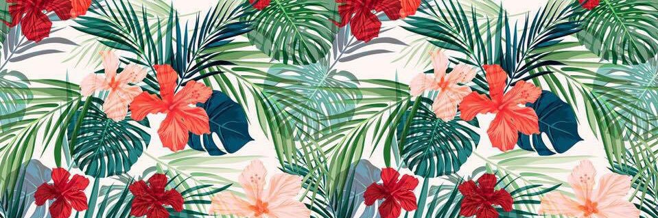 David Linares banner