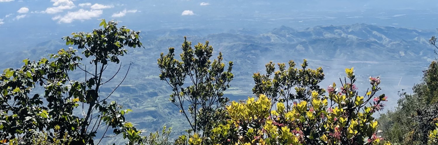 heysirimi's profile banner image