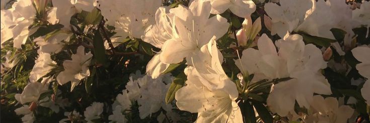 ︎︎︎︎︎︎︎︎︎︎︎︎︎︎︎َ banner